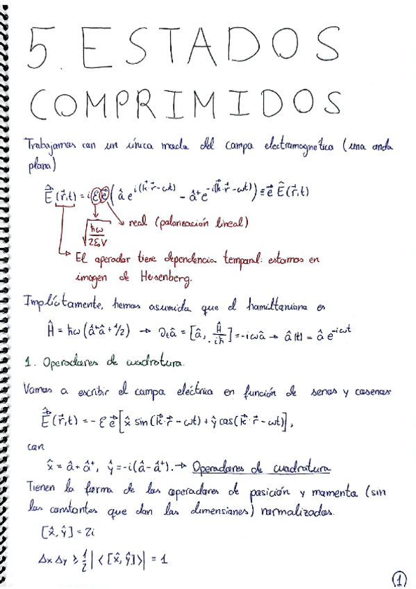Miniatura del documento OpticaQuanticaTema5.pdf