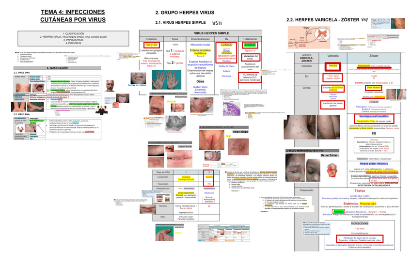 Miniatura del documento 4.-INF-CUTANEAS-POR-VIRUS.pdf