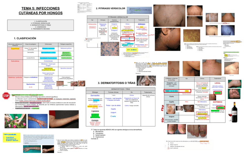 Miniatura del documento 5.-INFECCIONES-CUTANEAS-POR-HONGOS.pdf