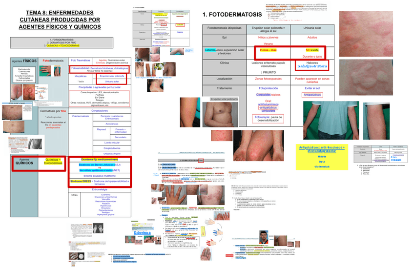 Miniatura del documento 8.-Agentes-Fisicos-Y-Quimicos.pdf