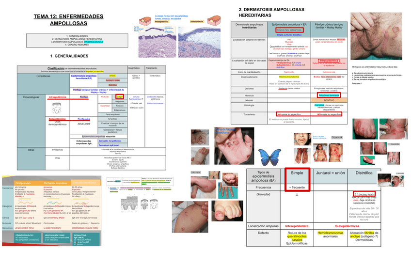 Miniatura del documento 12.-ENFERMEDADES-AMPOLLOSAS.pdf