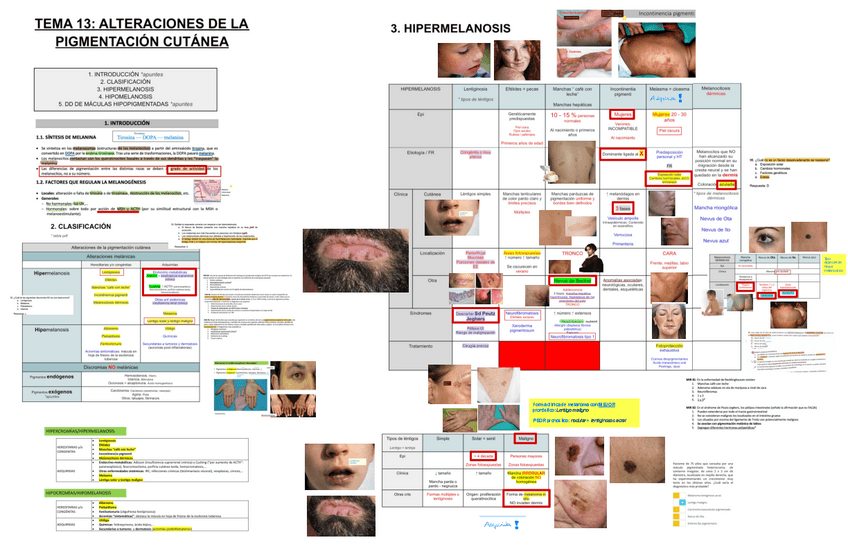 Miniatura del documento 13.-ALTERACIONES-DE-LA-PIGMENTACION-CUTANEA.pdf
