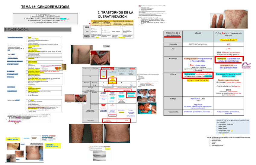 Miniatura del documento 15.-GENODERMATOSIS.pdf