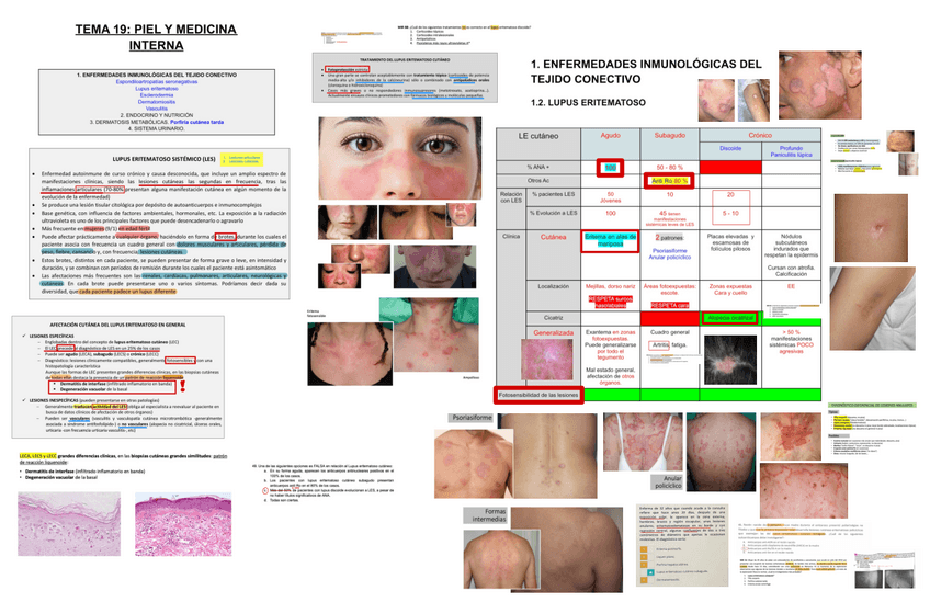 Miniatura del documento 19.-PIEL-Y-MEDICINA-INTERNA.pdf