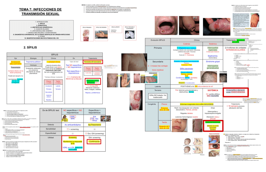 Miniatura del documento 7.-INFECCIONES-TRANSMISION-SEXUAL.pdf