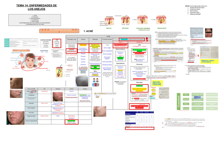 Miniatura del documento 14.-ENFERMEDADES-DE-LOS-ANEJOS-CUTANEOS.pdf