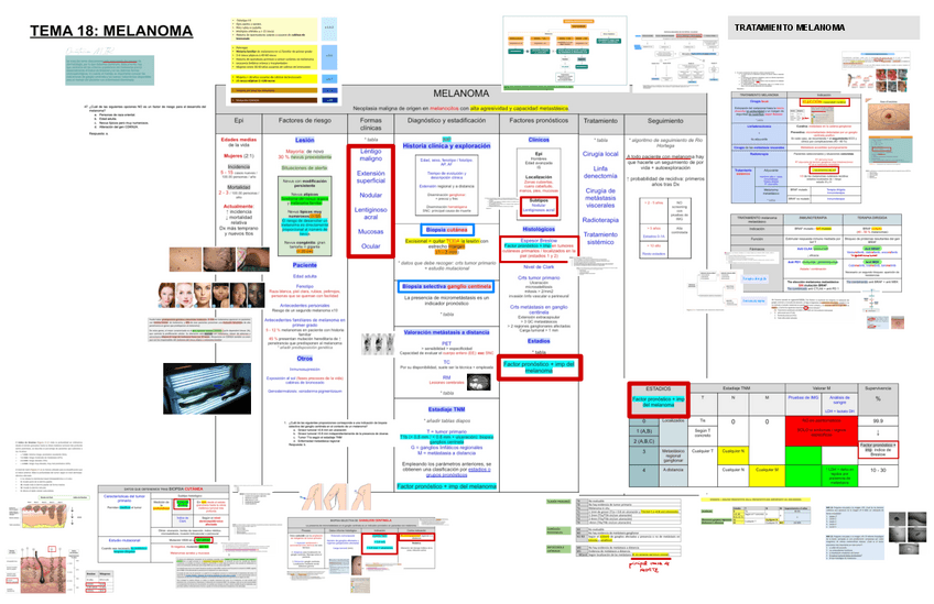 Miniatura del documento 18.-Melanoma.pdf