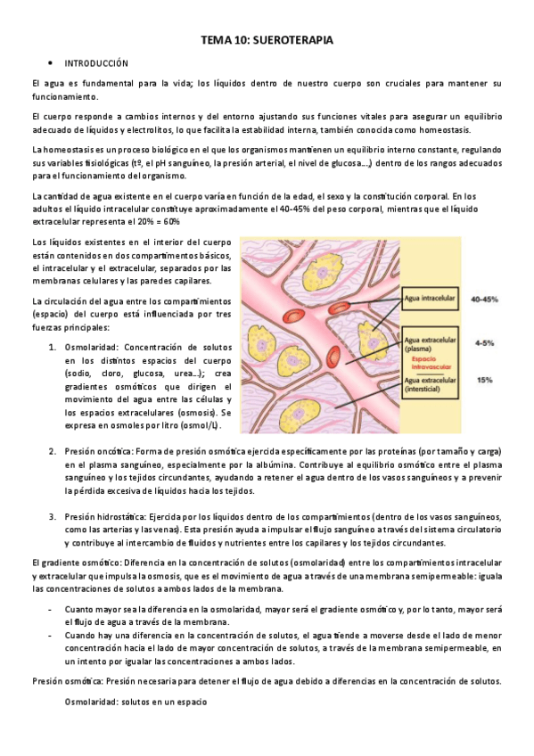 Miniatura del documento Tema-10.pdf