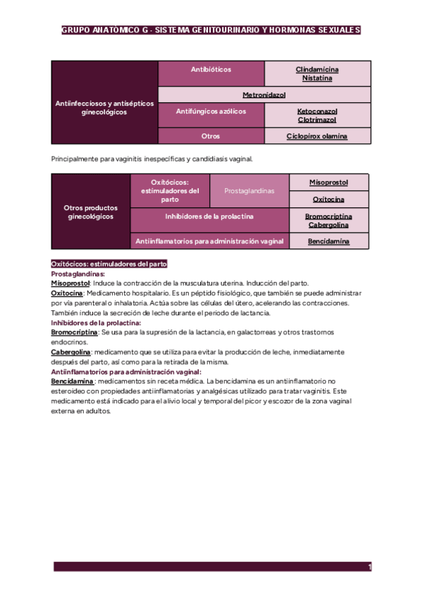 Miniatura del documento GRUPO-G.pdf