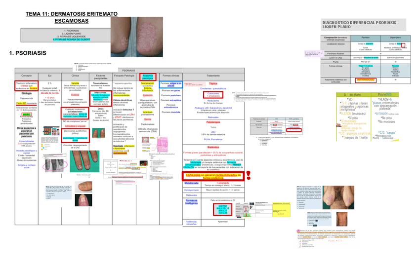 Miniatura del documento 11-DERMATOSIS-ERITEMATO-ESCAMOSAS.pdf