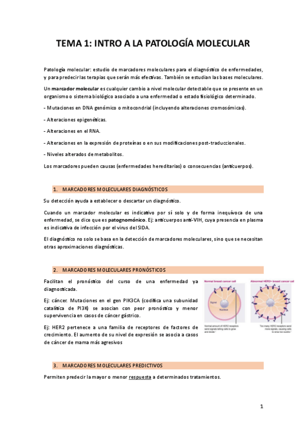Miniatura del documento Apuntes-patologia-molecular.pdf