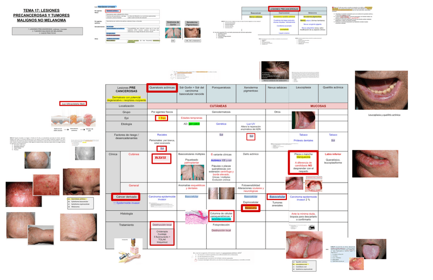 Miniatura del documento 17.-Lesiones-Precancerosas-y-Tumores-Malignos-NO-Melanoma.pdf