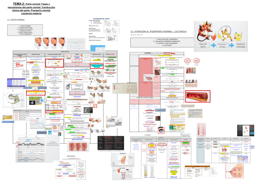 Miniatura del documento 2.-Parto-Normal.pdf
