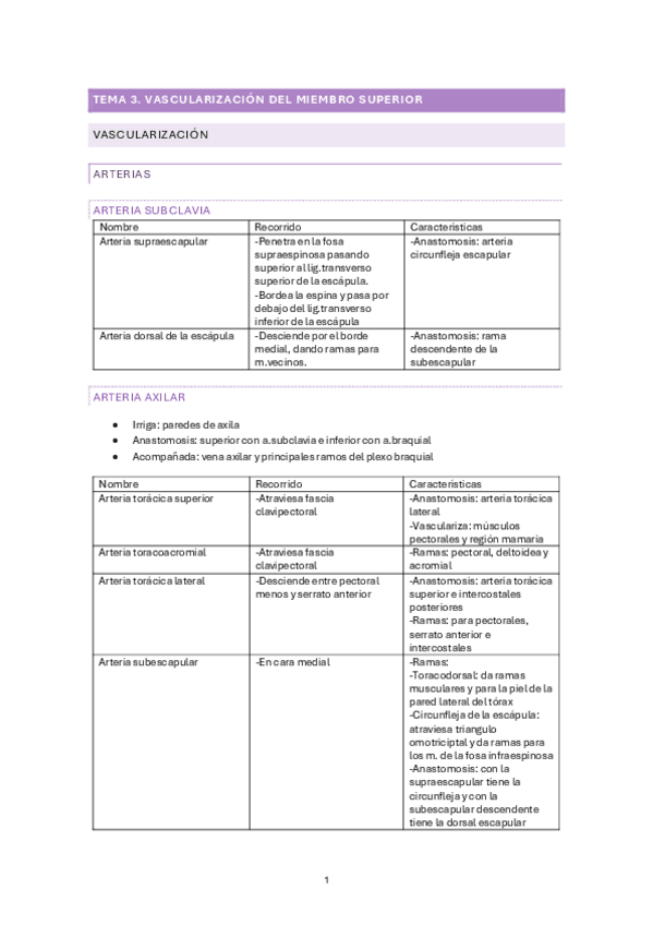 Miniatura del documento Vascularizacion-del-miembro-superior.pdf