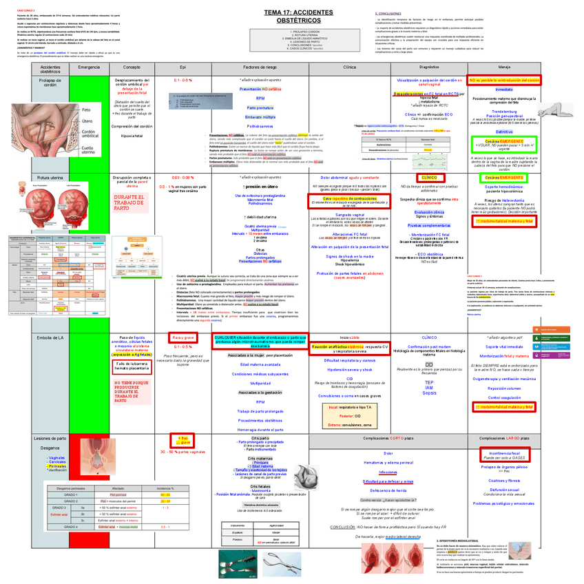 Miniatura del documento 17.-Accidentes-Obstetricos.pdf