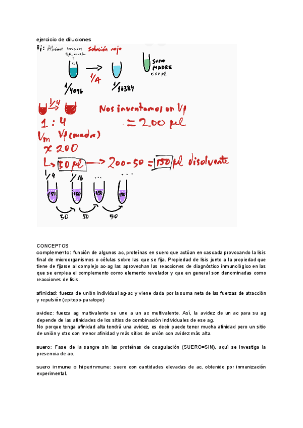 Miniatura del documento APUNTES-PRACTICAS.pdf