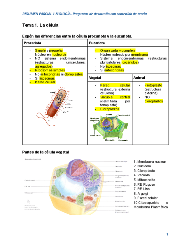 Miniatura del documento ResumenP1BIODesarrollo.pdf