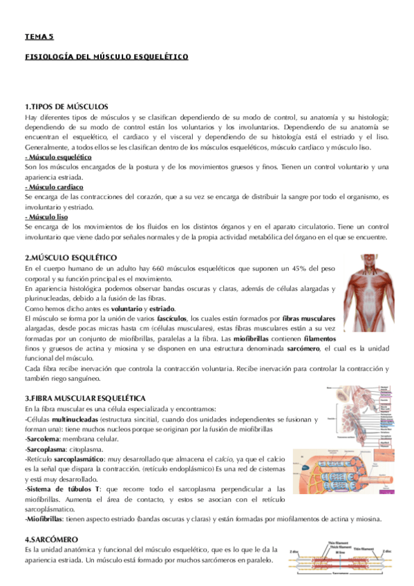 Miniatura del documento tema 5.pdf