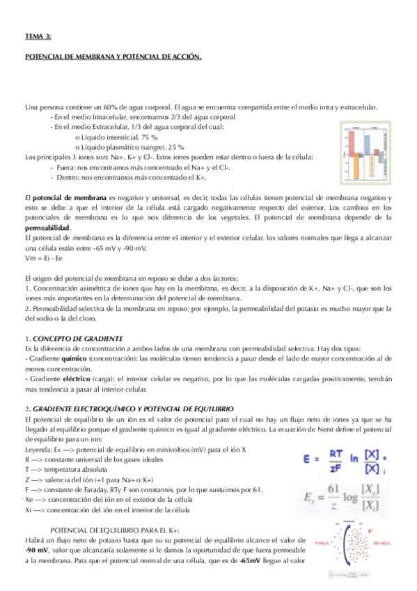 Miniatura del documento tema 3.pdf