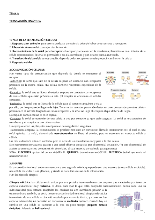 Miniatura del documento tema 4.pdf
