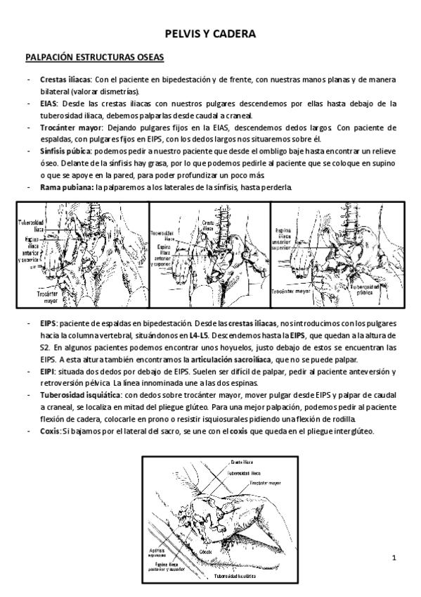 Miniatura del documento VALORACIÓN MMII CAROLINA.pdf