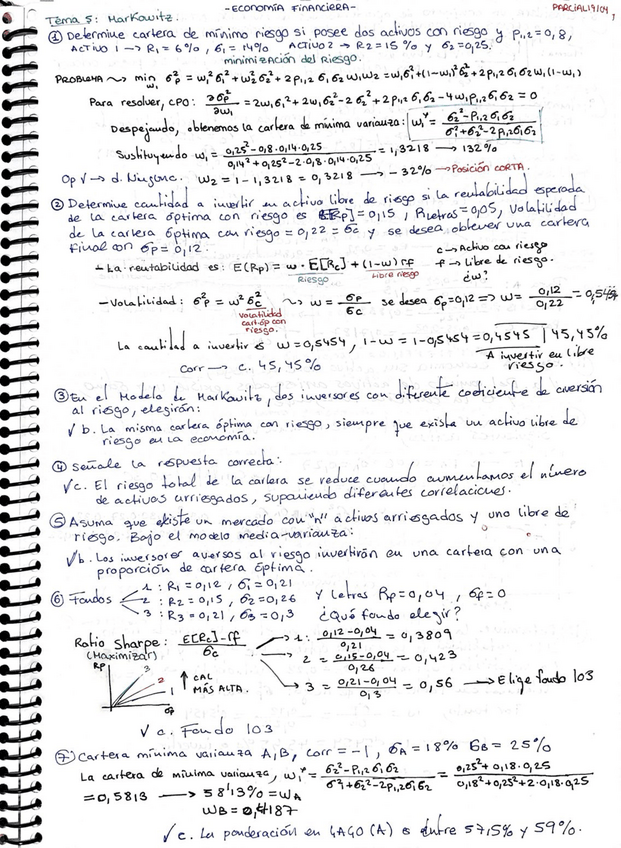 Miniatura del documento 5-MARKOWITZ-Y-CARTERAS.pdf