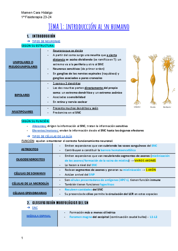 Miniatura del documento RESUMEN-1ER-BLOQUE-NEURO.pdf