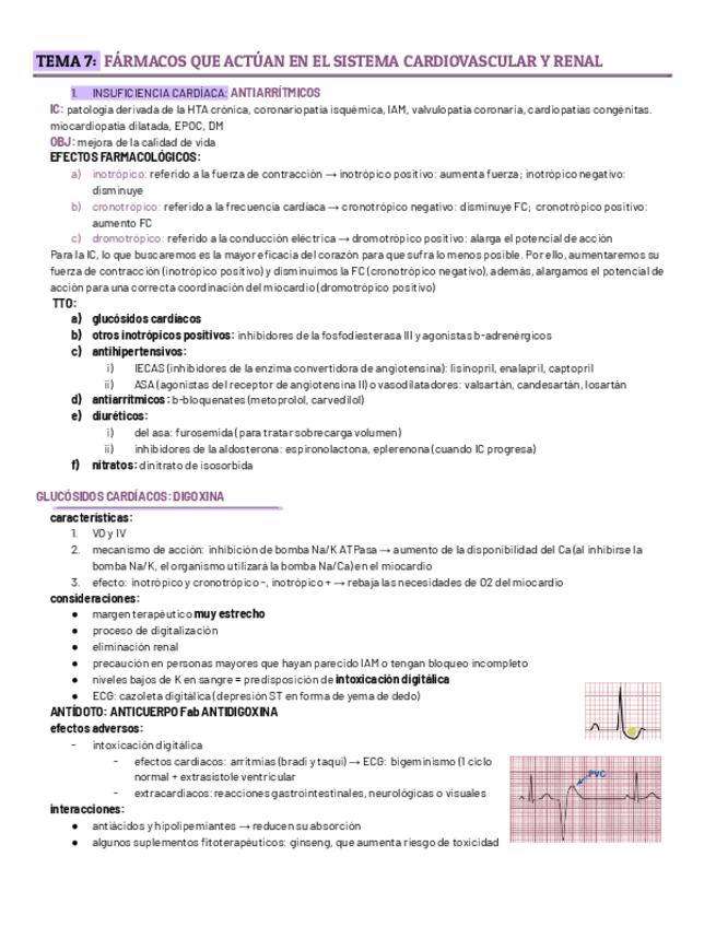 Miniatura del documento FARMA-TEMA-7-castellano.pdf