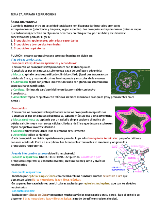Miniatura del documento TEMA-27.pdf