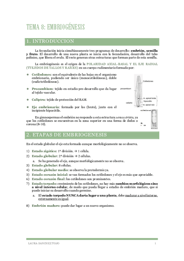 Miniatura del documento Tema-8-Embriogenesis.pdf