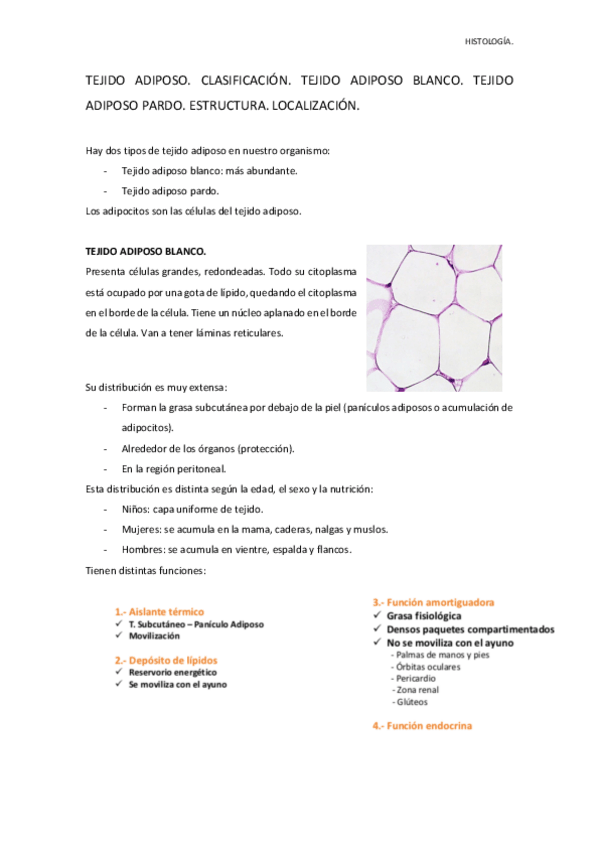 Miniatura del documento TEJIDO ADIPOSO.pdf