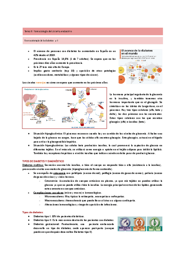 Miniatura del documento Tema-8-Sistema-Endocrino.pdf