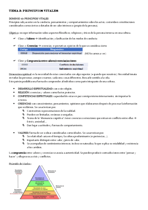 Miniatura del documento Dominio-principios-vitales.pdf