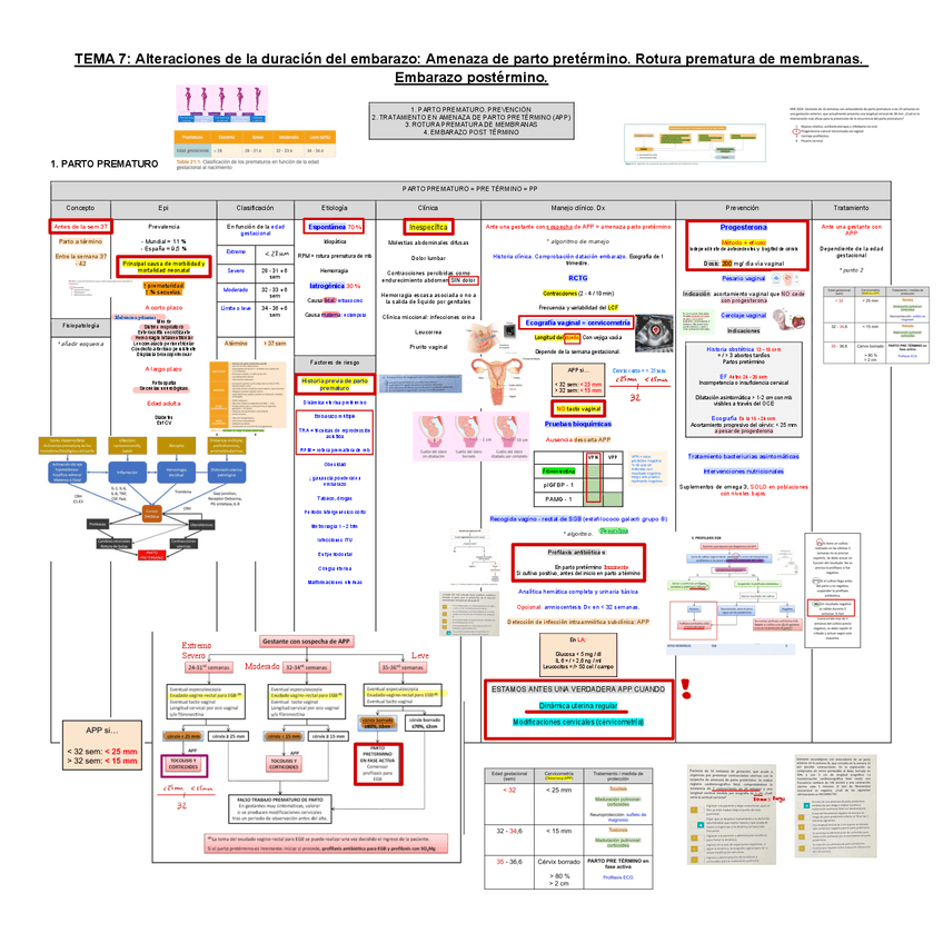 Miniatura del documento 7-Alteraciones-de-la-duracion-del-embarazo-Amenaza-de-parto-pretermino.pdf