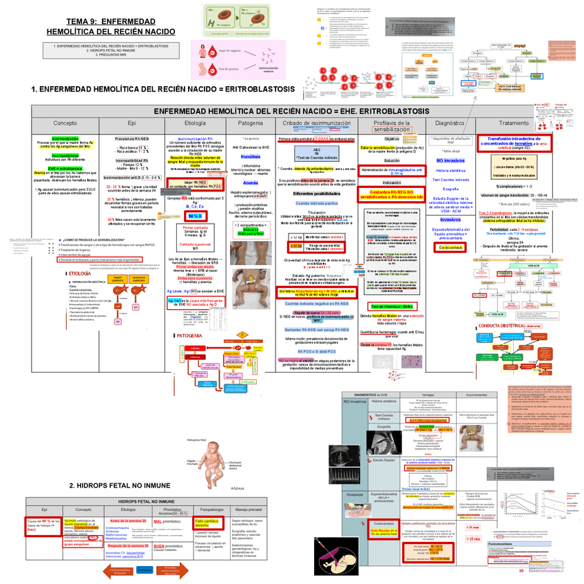 Miniatura del documento 9-ENFERMEDAD-HEMOLITICA-DEL-RECIEN-NACIDO.pdf