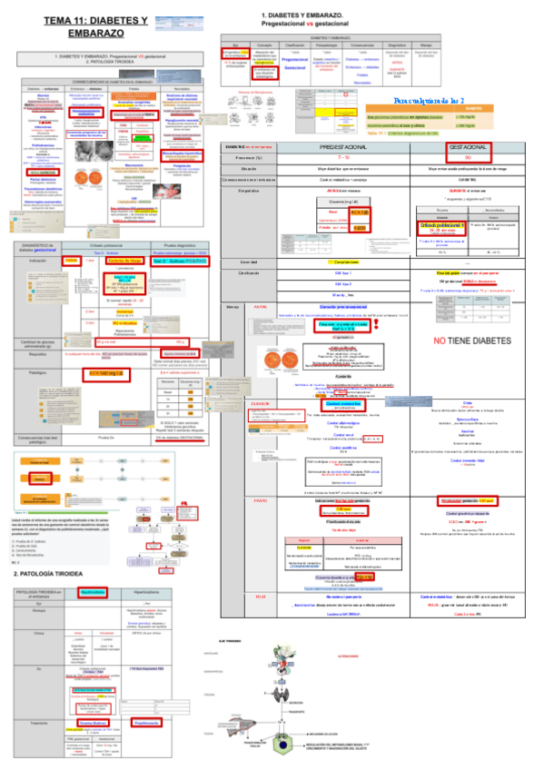 Miniatura del documento 11-DIABETES-Y-EMBARAZO.pdf