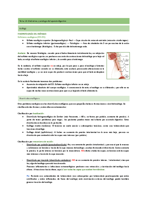 Miniatura del documento Tema-10-Fisiopatologia-digestivo.pdf