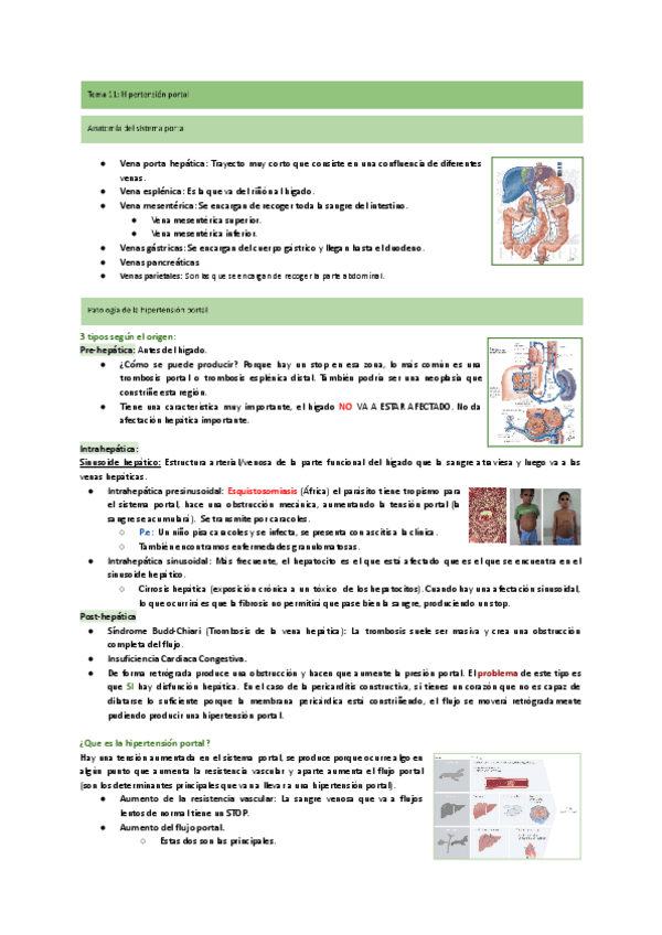 Miniatura del documento Tema-11-Hipertension-portal.pdf