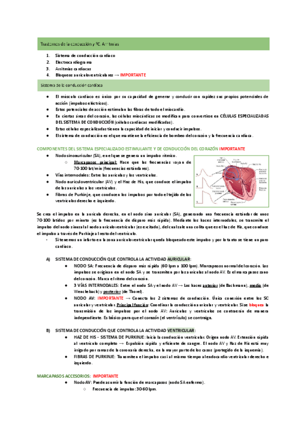 Miniatura del documento Tema-9.3-Transtornos-de-la-conduccion-cardiaca-y-arritmias.pdf
