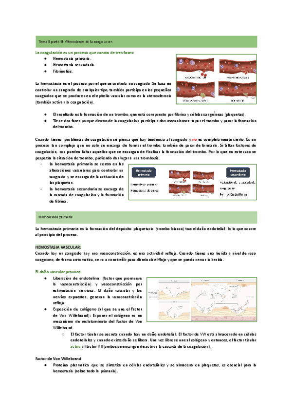 Miniatura del documento Tema-8.3-Alteraciones-de-la-coagulacion.pdf