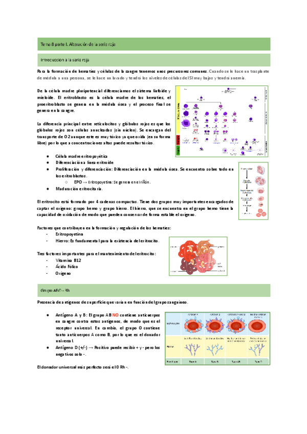 Miniatura del documento Tema-8.1-Alteraciones-de-la-serie-roja.pdf