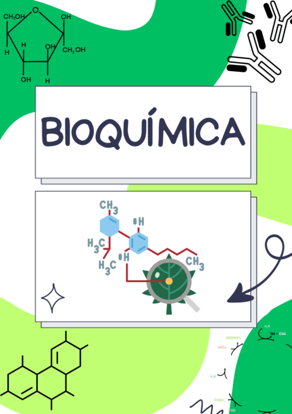 Miniatura del documento TEMA-11.-ENZIMA-COENZIMA-Y-VITAMINAS.pdf