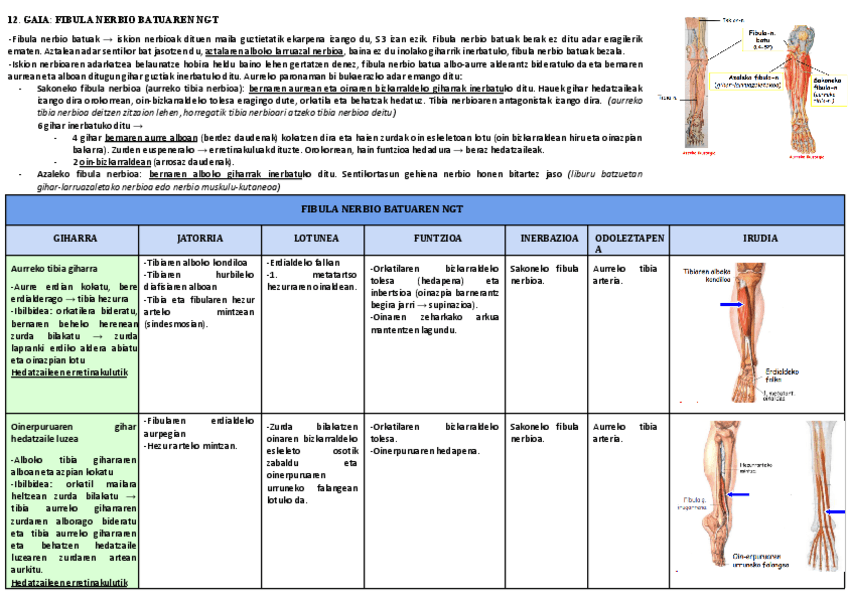 Miniatura del documento 12.-eta-13.-GAIA.pdf