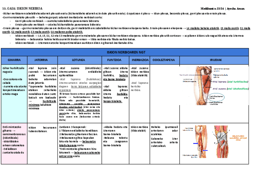Miniatura del documento 10.-eta-11.-gaia.pdf