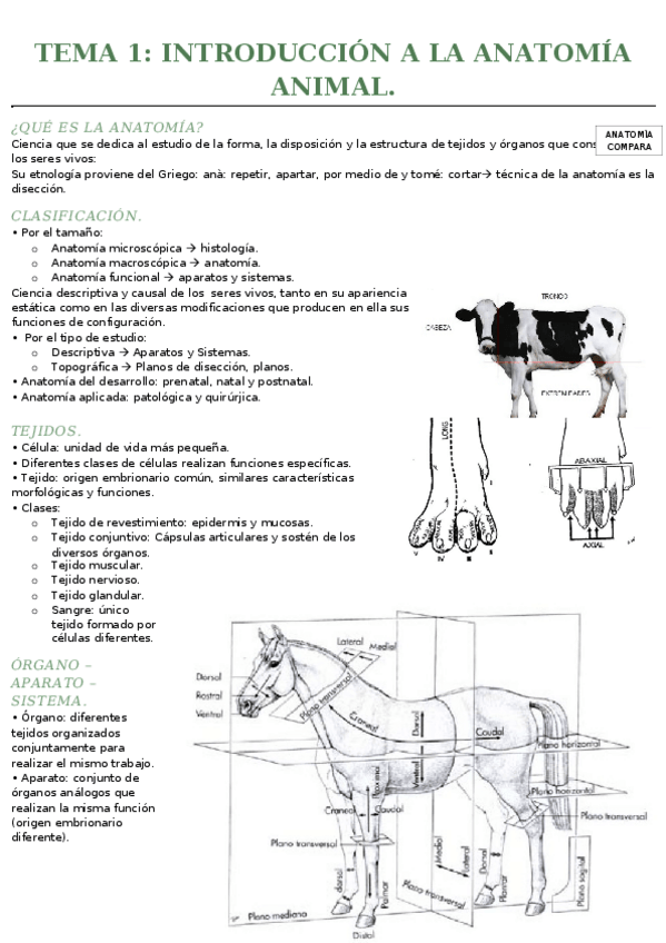 Miniatura del documento TEMA 1- introducción a la anatomía animal..docx