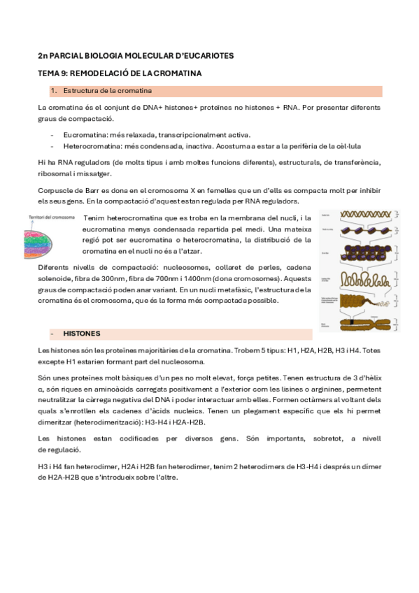 Miniatura del documento BME-2n-PARCIAL.pdf