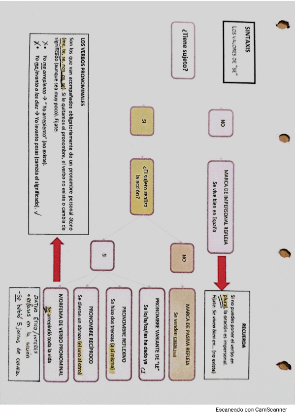 Miniatura del documento Sintaxis-se-ejercicios-resueltos.pdf