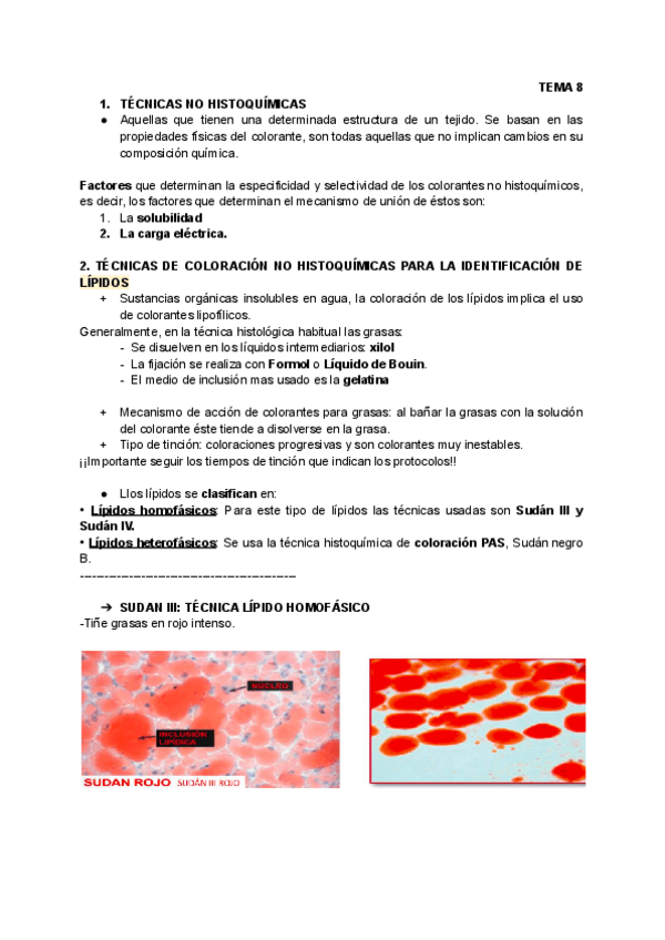 Miniatura del documento T.8PROCESAMIENTO.pdf