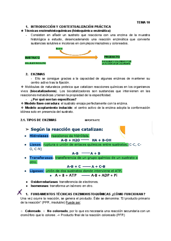 Miniatura del documento T.10PROCESAMIENTO.pdf