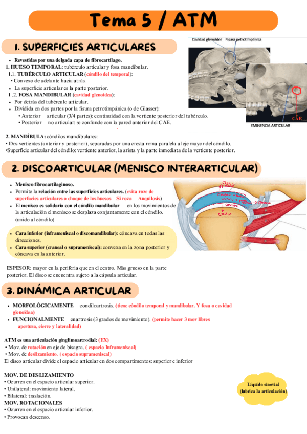 Miniatura del documento TEMA-5-ATM-anotaciones-y-cosas-para-el-examen-en-rojo.pdf